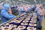 Sept mois: Les exportations de produits agricoles, sylvicoles et aquatiques en hausse de 26,7%