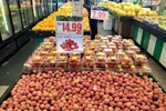 Créer une place digne des fruits du Vietnam sur le marché mondial