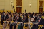 Le Vietnam à la 9e session plénière de l'APA au Cambodge