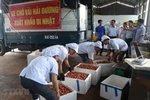 Hai Duong exporte le premier lot de litchi "Thieu" vers le Japon