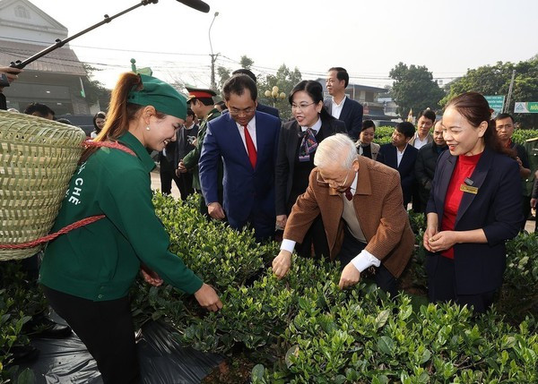 Le secrétaire général Nguyen Phu Trong visite le jardin de thé de la coopérative Hao Dat, ville de Thai Nguyen, le 10 janvier 2023. Photo : VNA hao dat.jpg