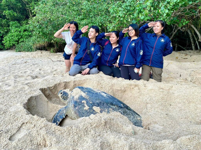 Des bénévoles du programme de conservation des tortues marines 2024. tortues marines.jpeg