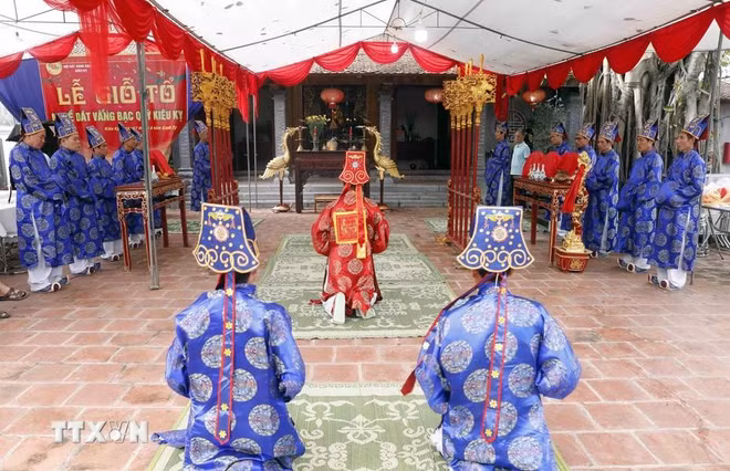 kieu ky.webp