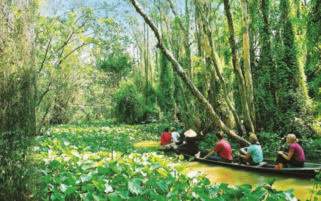 Découverte de Xeo Quyt en sampan. Photo: dulichkhampha24.com xeo-quyt.jpg