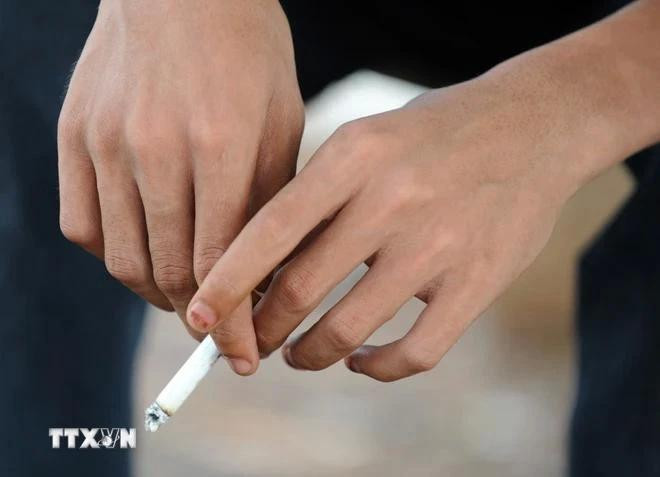 Le Vietnam reste l’un des 15 pays où le taux de tabagisme chez les hommes adultes est le plus élevé au monde. Photo : VNA tabac.webp