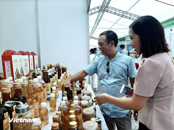 Le 29 juillet, le DOC annonce l’ouverture du deuxième examen administratif de l’ordonnance de droits antidumping sur le miel vietnamien. Photo : VietnamPlus reexamen administratif.webp