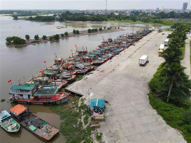 Bateaux ancrés pour se mettre à l'abri du typhon Yagi au port de pêche de Tân Son, dans le district de Thai Thuy, province de Thai Binh. Photo : VNA port de tan son.jpg
