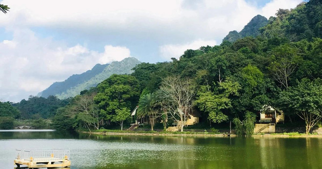 Dans le parc national de Cuc Phuong. Photo: VNA cuc phuong.webp