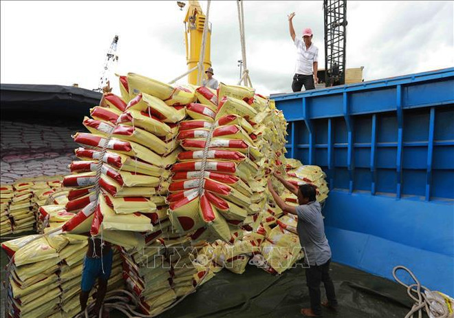 Transport du riz d'exportation du groupe Loc Troi au port Tân Cang – Thôt Nôt, dans la ville de Cân Tho. Photo : VNA Lộc Trời.jpg