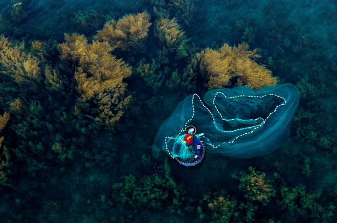 Les sargasses, une source de revenus «saisonniers» pour les pêcheurs locaux. Photo : baoquocte sargasses.jpg