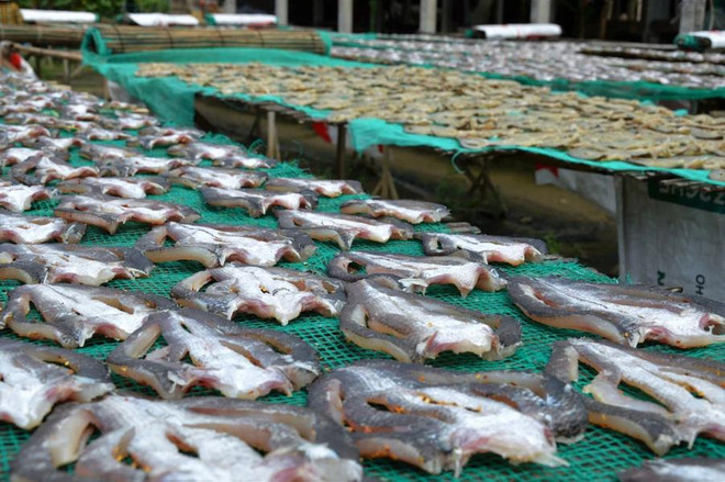 Grâce à des ingrédients frais et des techniques de séchage uniques, les produits séchés de Phu Tho, comme le poisson tête-de-serpent épicé, sont très prisés des consommateurs. Photo: VNA produits séchés de Phu Tho.webp