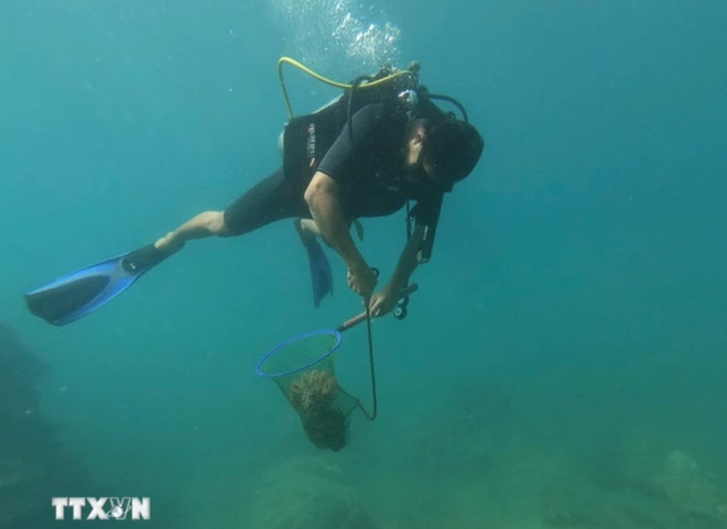 Ramassage des déchets dans les fonds marins. Photo: VNA ramassage.jpg