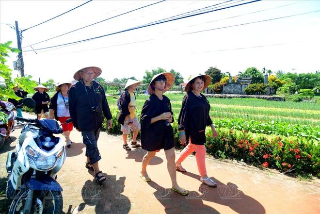 Fondé il y a environ 300-400 ans, Trà Quê s’étend sur 40 ha, dont 15 ha réservés à la culture de légumes et d’herbes aromatiques. Photo : VNP Tra Que VNP.webp