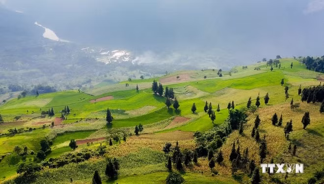 prairie Suôi Thâu.jpg