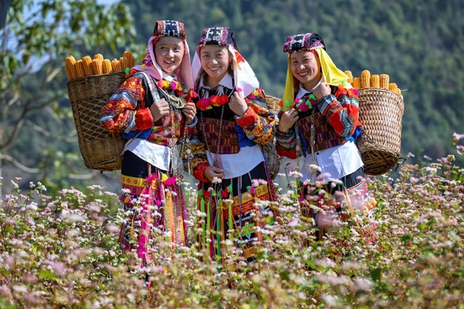 Hà Giang se distingue par son paysage naturel majestueux ainsi que par sa riche diversité culturelle, avec 19 groupes ethniques. Photo: CPV Hà Giang.jpg