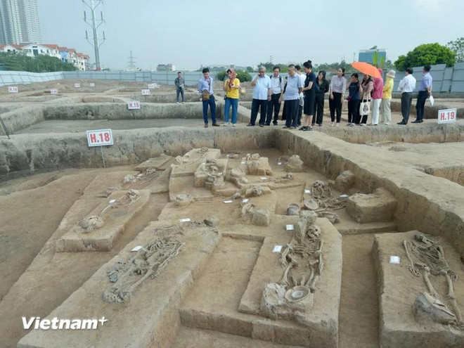 Les restes et les artefacts récupérés permettent d’appréhender les croyances et les structures sociales de ces communautés. Photo: VietnamPlus fouilles vietnamplus.webp