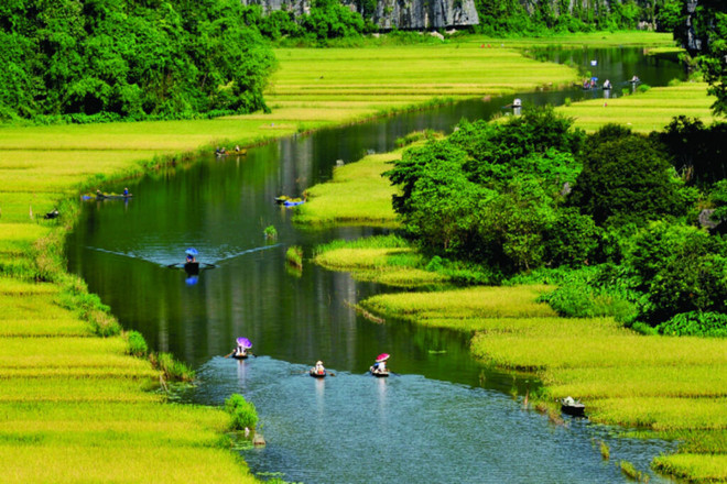 Ce site est l’un des rares du Vietnam à posséder une riche flore composée de forêts primaires et de terres submergées relativement sauvages. Photo: VNA tam coc.jpg
