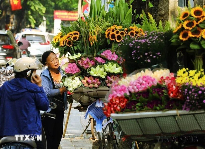 Dans la rue Thuy Khuê. Photo: VNA rue thuy khuê.webp