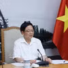 Le vice-Premier ministre Hô Quôc Dung s'exprime lors de la réunion. Photo: VNA
