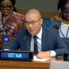 Le ministre-conseiller Nguyên Hoang Nguyên, chargé d’affaires par intérim de la Mission permanente du pays auprès de l’ONU. Photo: VNA