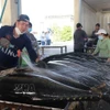 Vietnam : le secteur des produits de la mer mise sur l'innovation technologique et la durabilité