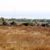 Lieu de construction de la centrale nucléaire de Ninh Thuân 1. Photo: VNA