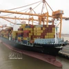 Des conteneurs au port international de Hai Phong. Photo: VNA