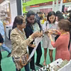 Les produits de beauté et de bien-être élaborés à partir des fruits de Dak Lak ont également suscité un vif intérêt auprès des consommateurs malaisiens. Photo: VNA