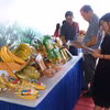 Environ 220 tonnes de bananes fraîches de Dông Nai exportées vers les marchés internationaux. Photo: VNA