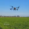 Utilisation d'un drone pour l'épandage de pesticides dans les rizières d'An Nhut, commune de Long Diên, Hô Chi Minh-Ville. Photo: VNA
