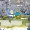 Chaîne de production d’aloe vera de VietFarm. Photo: VNA