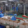 Production dans une usine privée. Photo: VNA