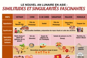 Le Nouvel An lunaire en Asie : similitudes et singularités fascinantes 
