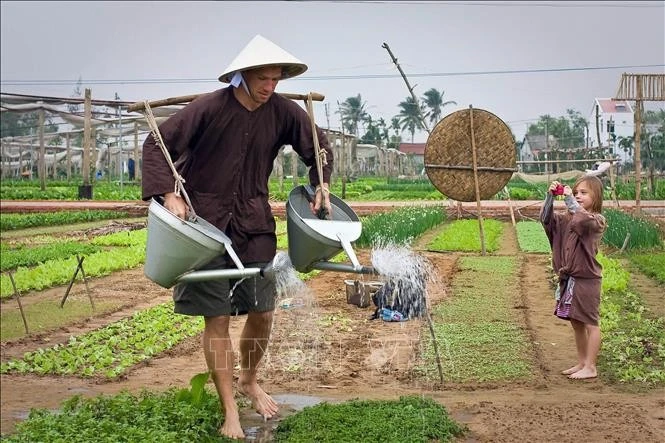 Des touristes découvrent le village maraîcher de Tra Que, à Hoi An, province de Quang Nam. Photo : VNA. 
