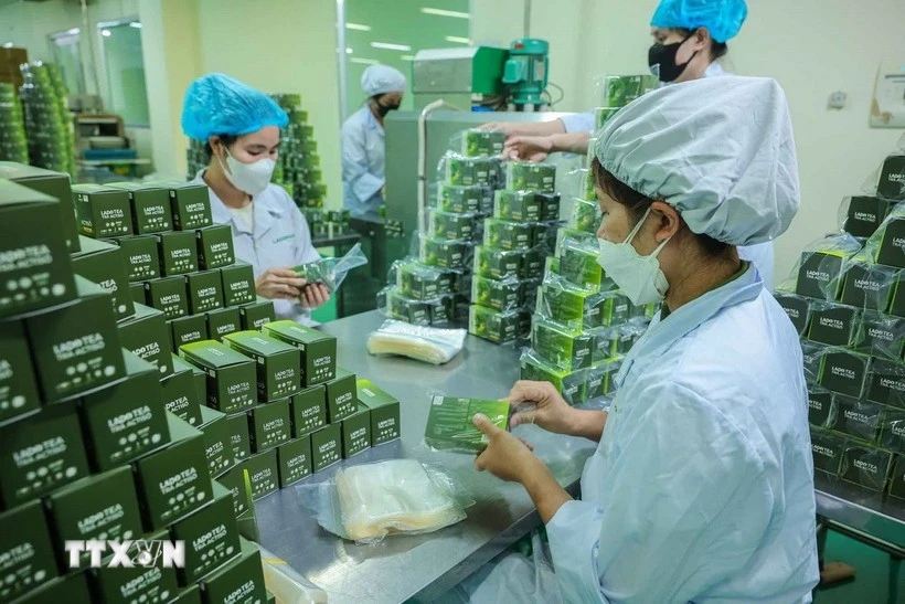 Production de produits à base de plantes chez Lam Dong Pharmaceutical Joint Stock Company. Photo . VNA
