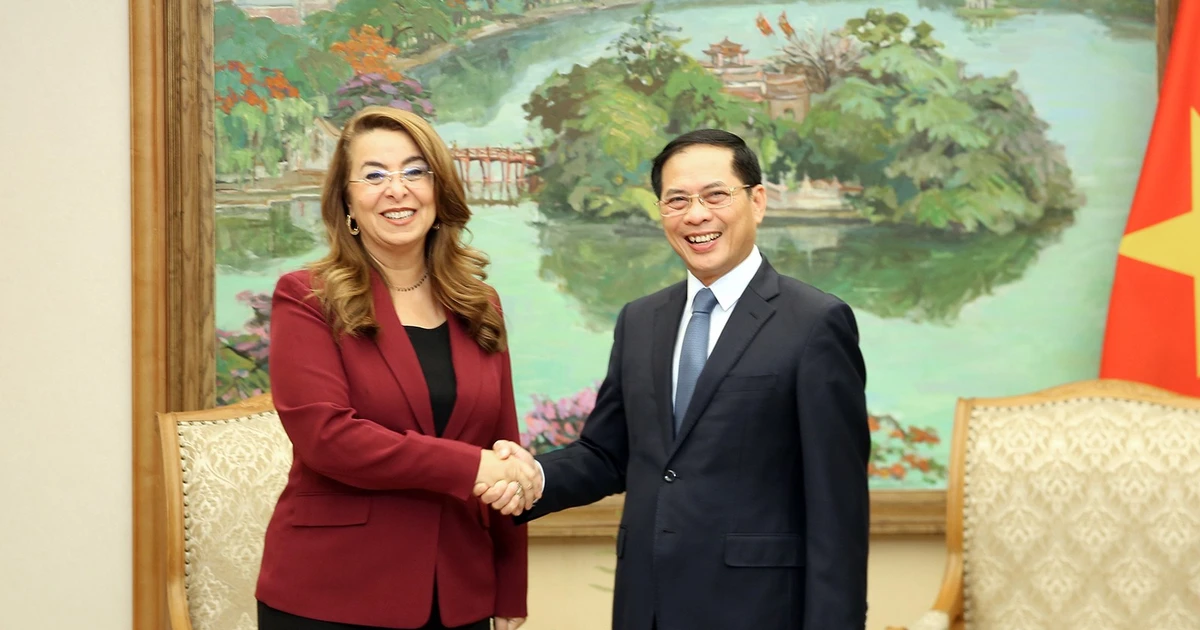 Le vice-Premier ministre vietnamien Bui Thanh Son reçoit Ghada Waly, secrétaire générale adjointe des Nations Unies, directrice exécutive de l'Office des Nations Unies contre la drogue et le crime (ONUDC) et directrice de l'Office des Nations Unies à Vienne. Photo : VGP. 
