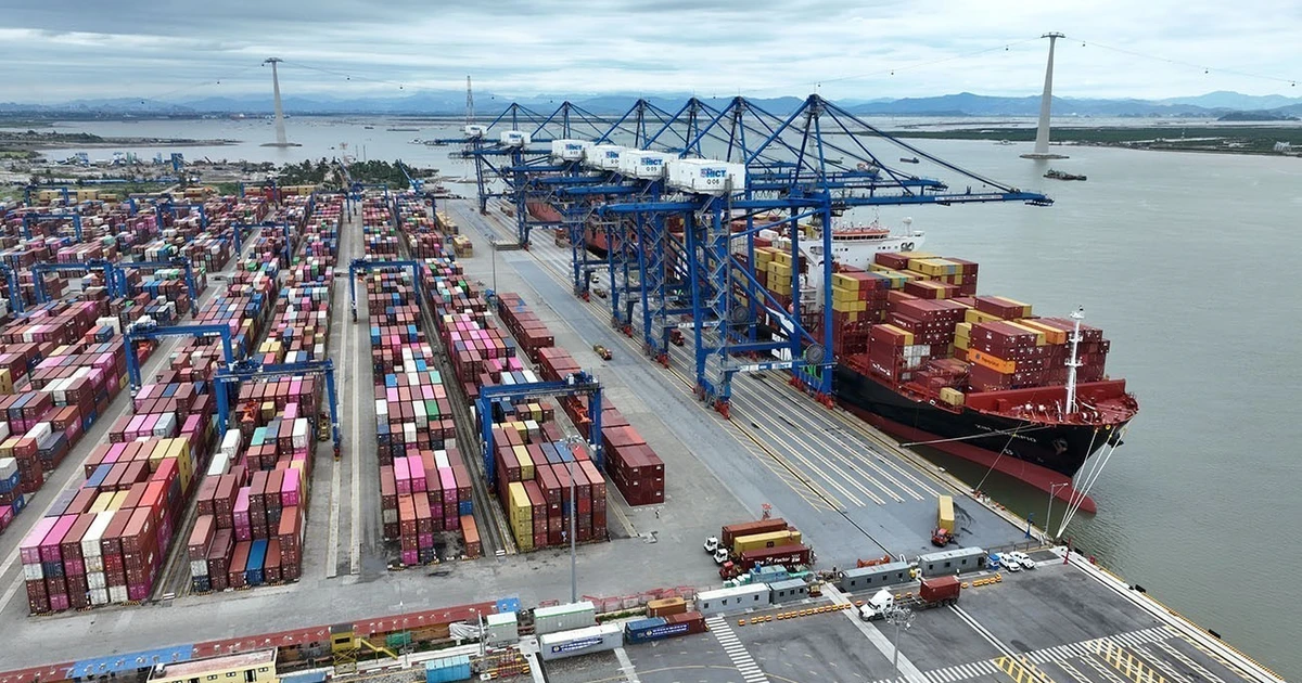 Le Recensement économique constitue l’une des trois grandes enquêtes statistiques nationales d’envergure, revêtant une importance stratégique pour le perfectionnement du système d’information économique du pays. Photo : VNA 