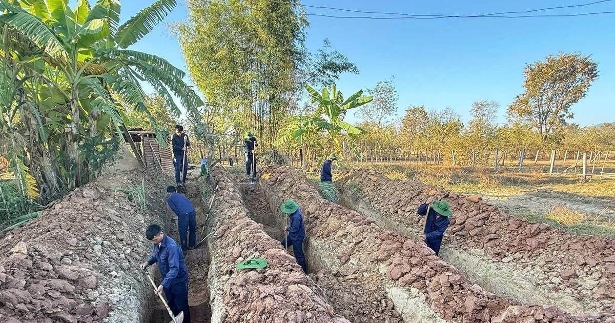 Depuis le début de la saison sèche 2025-2026, l’équipe K53 a rapatrié les restes d’un total de neuf martyrs, dont sept au Laos et deux au Cambodge. Photo : VNA 