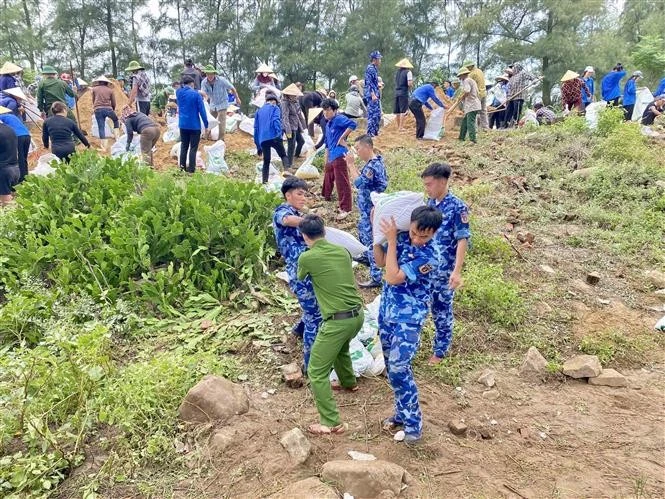 La province de Ha Tinh mobilise des centaines de personnes de l'armée, de la police, des garde-côtes.. pour renforcer d'urgence la digue de Hoi Thong. Photo : VNA. 