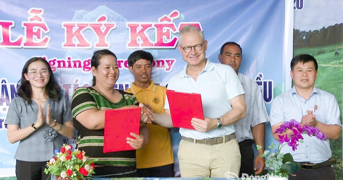 Mme Thi Khui, cheffe de la coopérative agricole d’anacarde biologique de Trang Co – Bu Lach, signe un accord de coopération pour l'achat de noix de cajou avec un représentant de la sarl Intersnack Vietnam. Photo : Journal Dong Nai 