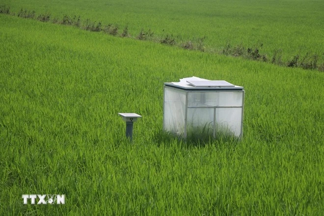 Système de mesure de la réduction des émissions dans les rizières. Photo : VNA. 
