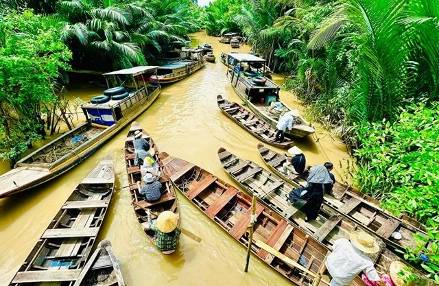 Ben Tre impressionne par son image de « pays de la noix de coco ». Photo : hanoimoi.vn
