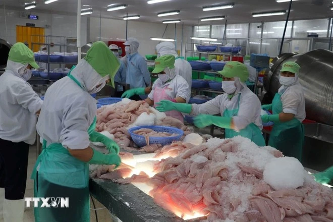 Le Vietnam exporte vers le Brésil des produits aquatiques, du caoutchouc, des textiles, des chaussures et de l’acier... Photo : VNA. 
