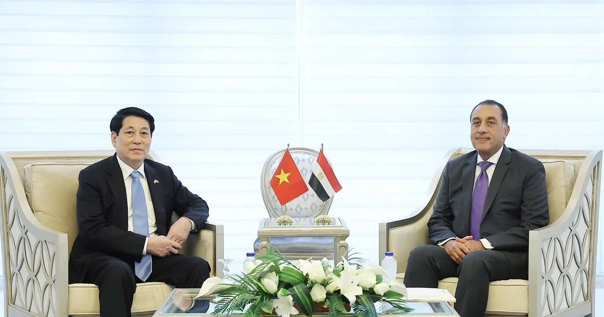 Le président vietnamien Luong Cuong (à gauche) et le Premier ministre égyptien, Mostafa Madbouly. Photo : VNA.