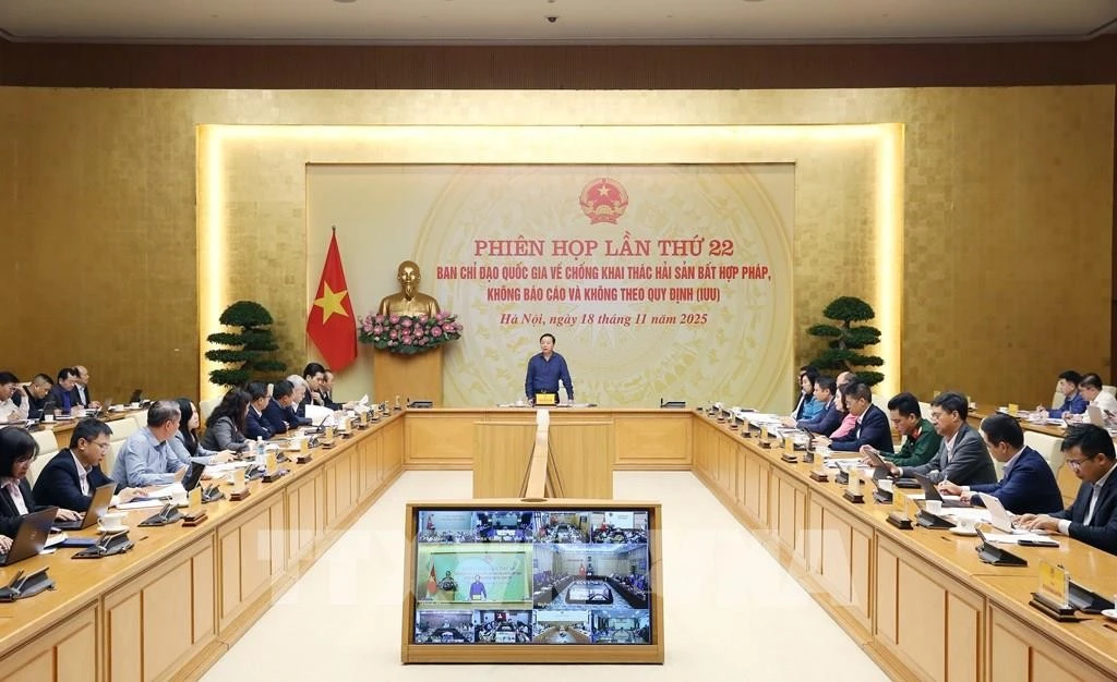 Lors de la réunion. Photo : VNA 