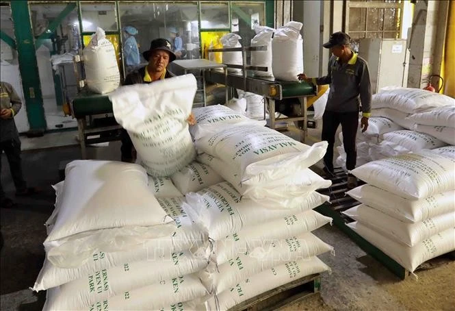 Du 1er janvier au 15 août, le Vietnam a exporté près de 5,9 millions de tonnes de riz. Photo : VNA. 