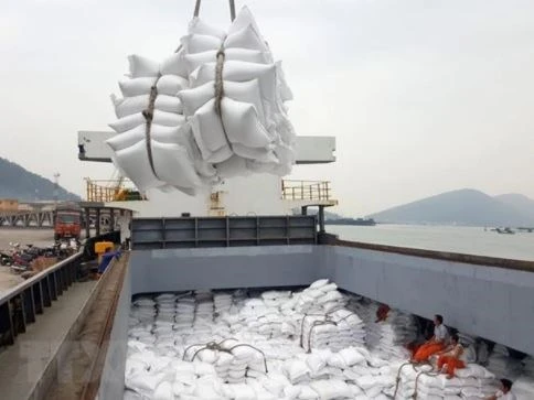Le Vietnam doit créer une marque mondiale de riz plus forte