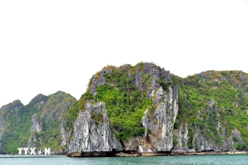 Baie d’Ha Long – un trésor à protéger et à développer durablement ...