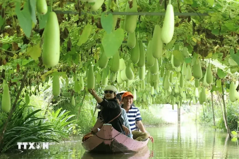 Agrotourisme : une activité en plein essor au Vietnam