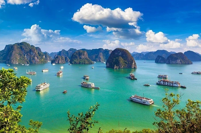 La Baie d'Ha Long parmi les plus belles destinations du monde ...